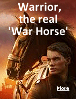 The tale of War Horse has gone from beloved children's book, to successful stage play to Hollywood movie directed by Steven Spielberg.
